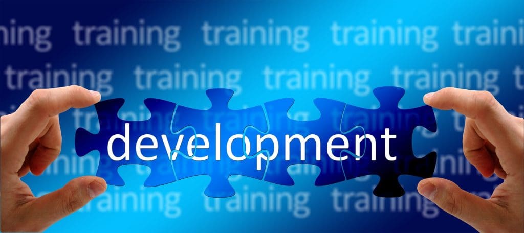 Preparing a suitable Continuing Professional Development is key to a successful NER Interview