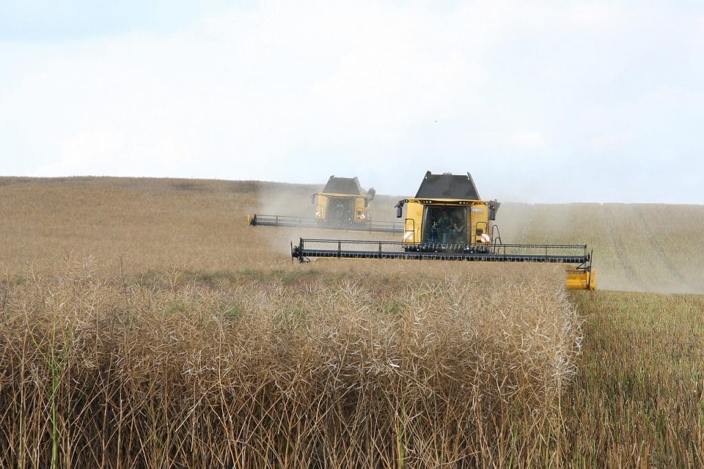 Agricultural engineering careers in the UAE, count as one of the High paying engineering jobs in UAE