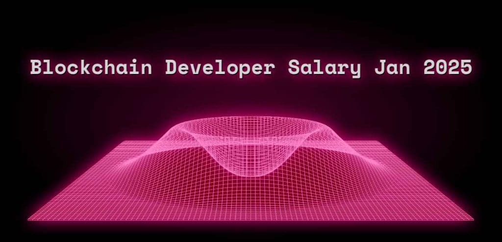 Inforgraphic for sotware engineer who specializes in blockchain development